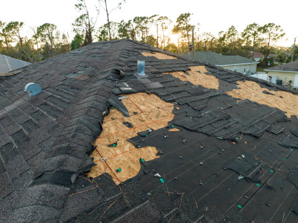 Best Asphalt Shingle Roofing  in Mesa Del Caballo, AZ